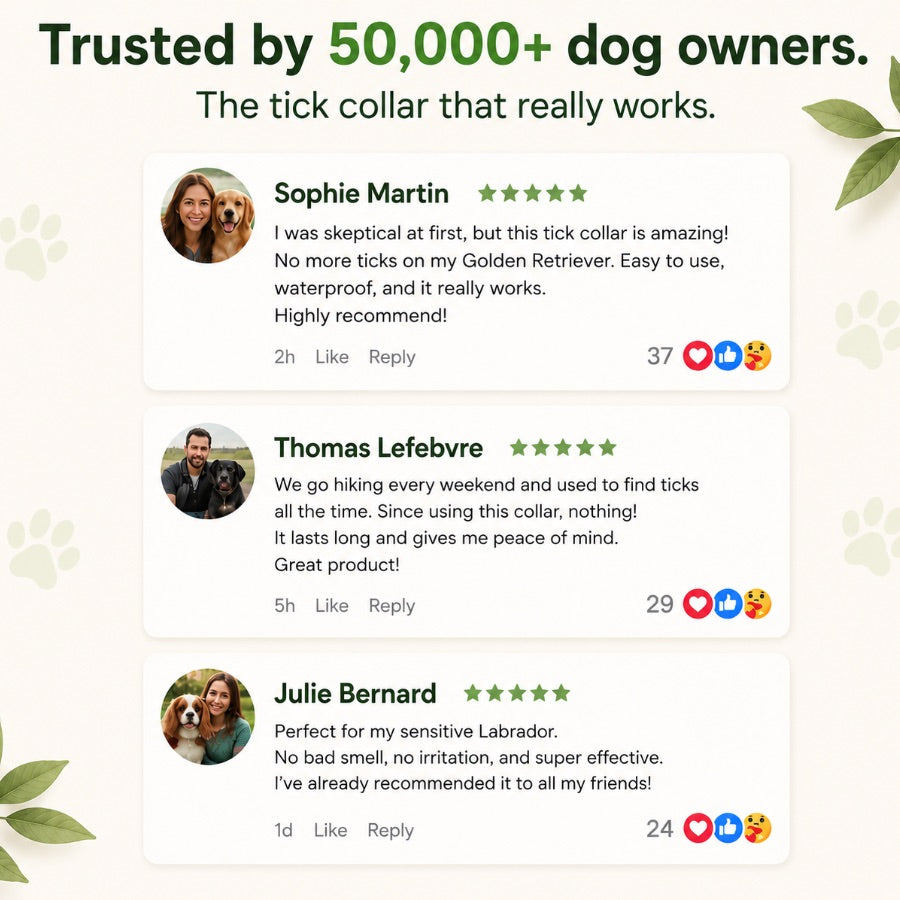 🐕 PROTECTHEM™ Natural Flea & Tick Protection Collar