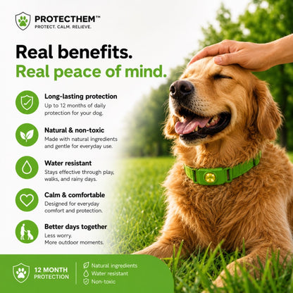 🐕 PROTECTHEM™ Natural Flea & Tick Protection Collar