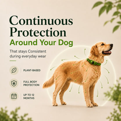 🐕 PROTECTHEM™ Natural Flea & Tick Protection Collar