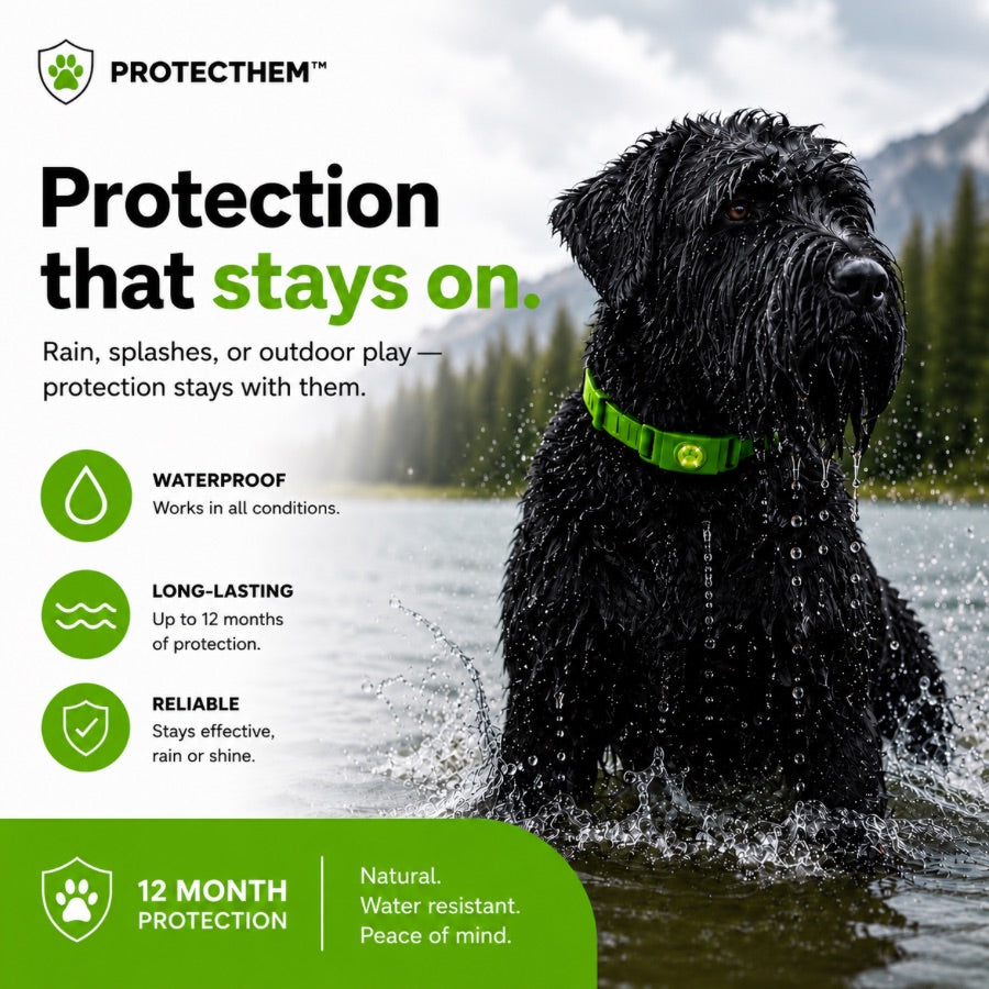 🐕 PROTECTHEM™ Natural Flea & Tick Protection Collar