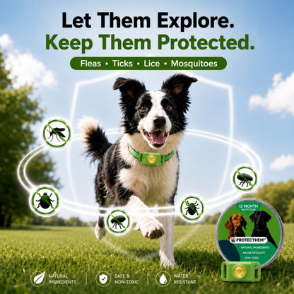 🐕 PROTECTHEM™ Natural Flea & Tick Protection Collar