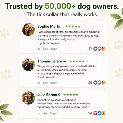 🐕 PROTECTHEM™ Natural Flea & Tick Protection Collar